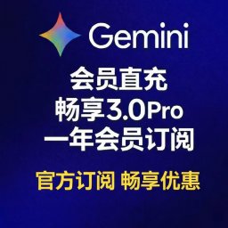 Gemini12个月会员